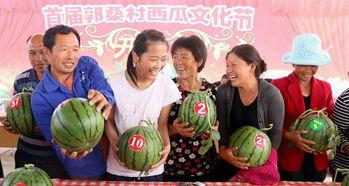 内黄吃瓜视频,揭秘当地特色美食背后的故事