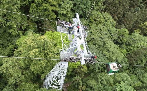 湖南张家界吃瓜事件视频,一场网络热议的街头冲突瞬间