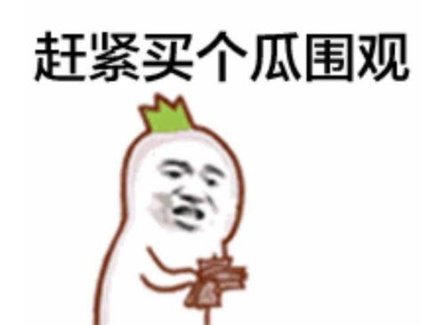 吃瓜蛙表情动图搞笑视频,笑料横生的搞笑视频盛宴