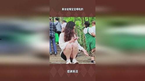 女生喂猴子吃瓜的视频,女生与猴共度欢乐时光
