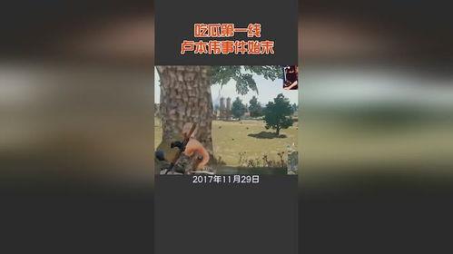 定州开元吃瓜事件始末视频,一场网络热议的始末揭秘