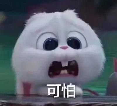 吃没熟的瓜会中毒吗视频,警惕食用隐患