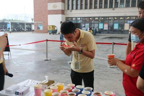 吃瓜群众拿奖视频,视频走红网络