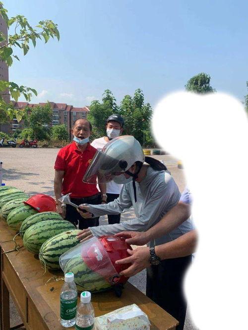 桓台吃瓜事件视频最新,一场引发热议的网络风波深度解析