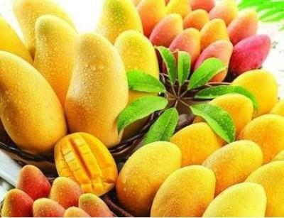 香蕉吃瓜视频,一场视觉与味蕾的双重盛宴