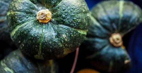 吃瓜长不胖的真实视频,吃瓜达人如何保持苗条身材，真实视频见证不胖秘诀