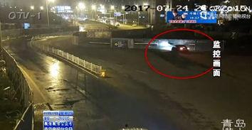 吃瓜群众金蝉视频在线观看,吃瓜群众的热门在线观看盛宴