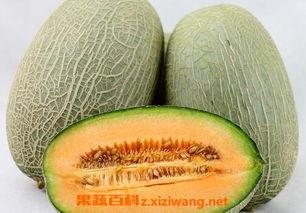 小尼吃哈密瓜视频在线观看,在线观看甜蜜瞬间