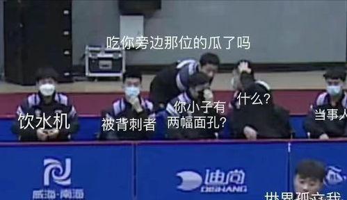 国乒队员集体吃瓜事件视频,揭秘赛场背后的欢乐时光