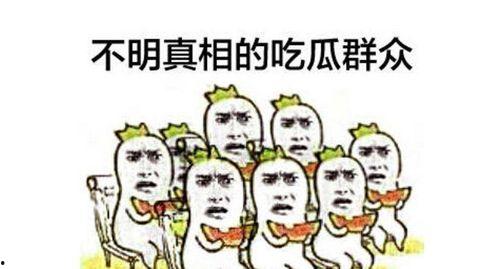 误导吃瓜群众网民视频,揭秘误导吃瓜群众的网络视频真相